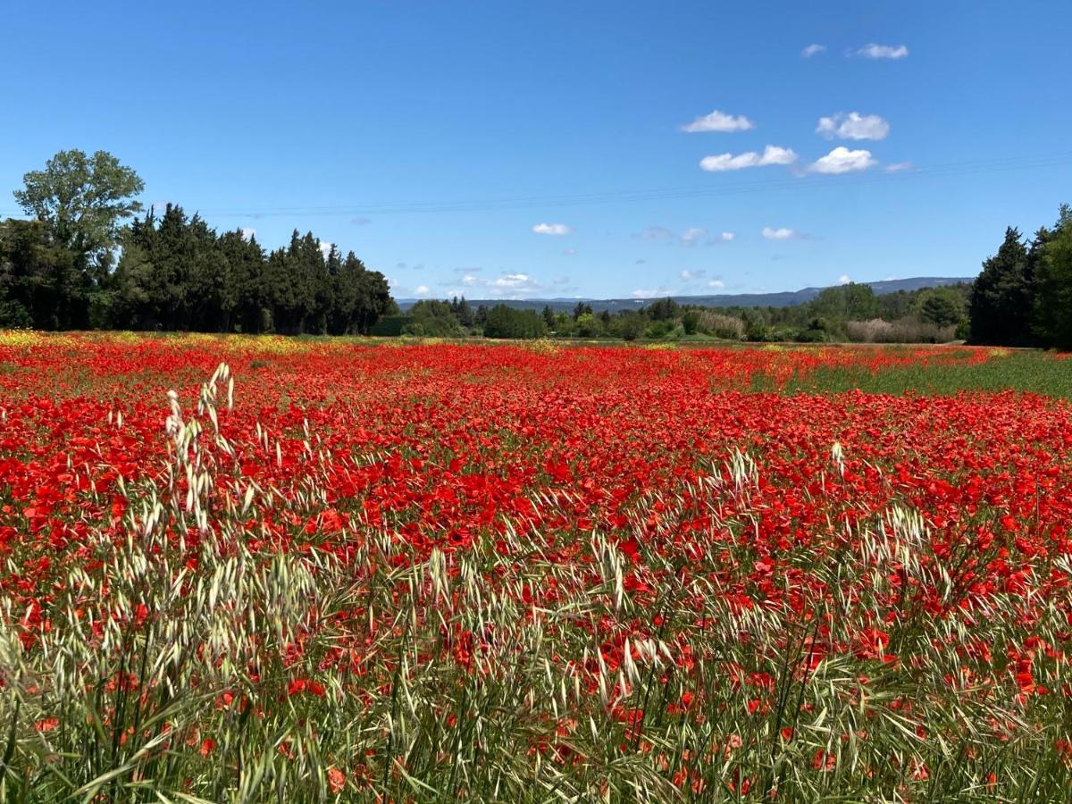 索格岛Ilot Coquelicot - Parking Gratuit Securise - Ac Clim - Ascenseur - Balcon公寓 外观 照片